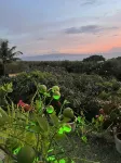 Mauijoy Villa ~ Expansive Oceanview  Retreat above Wailea  Pool Private Location