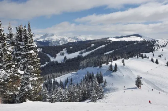 "Vantage Point/Lionshead"Steps to Lifts, Dine, Shops, Hot Tubs, Slope Views!