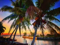 Siesta Motel Hotels in Key Colony Beach
