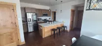Home in Railyard Leadville- built 2021