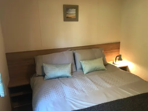 Badgers nestled in a cozy corner of the park