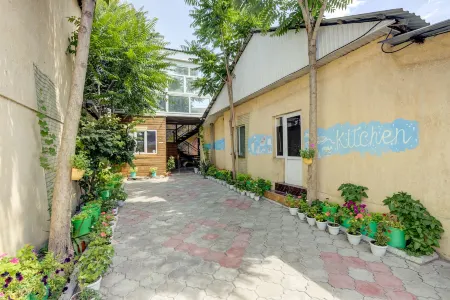 Отель «Вива» — хостел