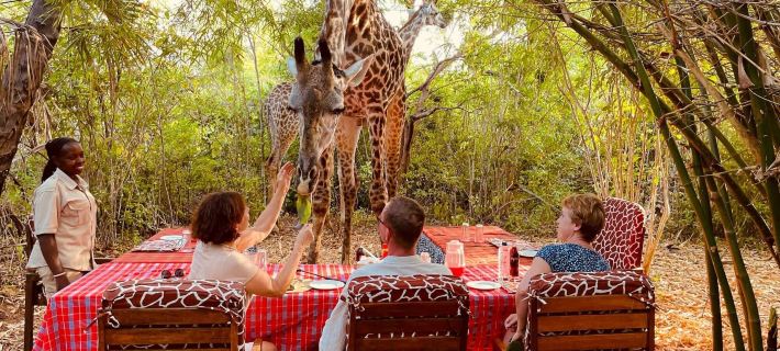 Borabora Luxury Tented Camp Ξενοδοχεία στην πόλη Diani Beach