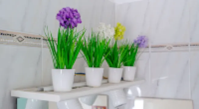 Italianway - Costaguta 75