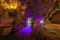 Trang An Spring Garden Homestay Hotels in Truong Yen