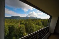 Elexus Apartments Poiana Brasov - Mountain view