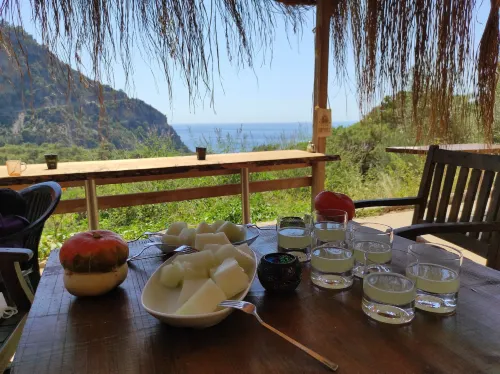 키드락 캠핑 나마스테