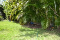 4 Bedroom Villa, Private Pool, Security, Ocean View - Villas