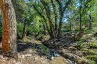 Modern cabin hidden among the trees-- Unwind and relax on the porch creek-side.