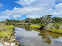 Waterfront Deck and Tandem Kayaks - Charming Nature Retreat