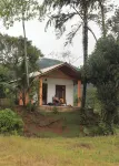 Forest & Fields - Sinharaja