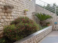 Apartments Maris Hotels in Plat