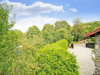 Charming Stay Near Forests