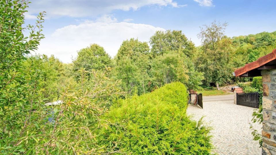 Charming Stay Near Forests