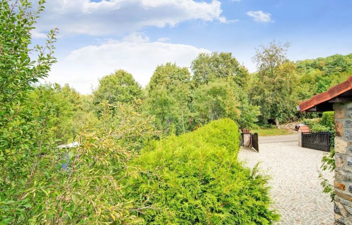 Charming Stay Near Forests