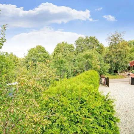 Charming Stay Near Forests