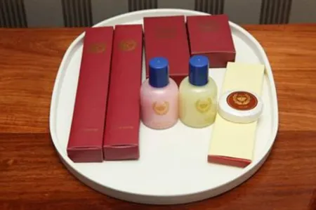 國王飛翔酒店