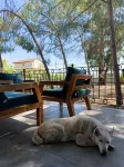Kumkat Hotel Hotels in Güllük