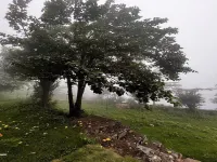 Bougain Villa Cottage