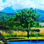 Ohana Boutique Hotel Hotels in Карцишоара