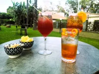 Oasi Park Hotel - bar