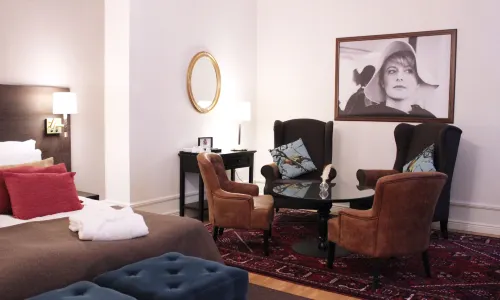 Home Hotel Drott