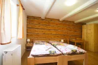 Penzion U Vyhlídky Hotels in Decin District