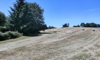 Chambres Dans le gîte "Rêves de Gamins", Proche du pôle Européen et du Circuit des 24h