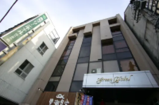 Kochi Green Hotel Harimayabashi Hotel a 