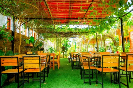 Phong Nha Hillside View Bungalow Отели в г. Son Trach