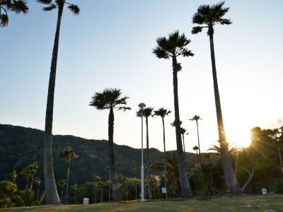 ホテル周辺 下田東急ホテルの写真