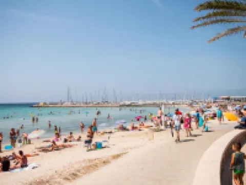 Hotel Amic Gala Hotels in Palma de Mallorca