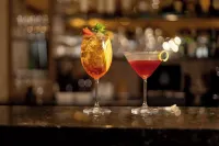 Hotel Jardins da Colina - bar