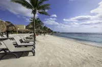 Catalonia Yucatan Beach - All Inclusive - Beach