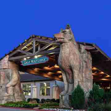 Great Wolf Lodge Grapevine Hotel Exterior