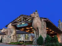 Great Wolf Lodge Grapevine Hotels in Grapevine
