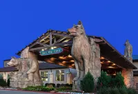 Great Wolf Lodge Grapevine Hotels in Grapevine