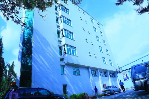 Lewi Hotel Piazza Hotels in Awasa