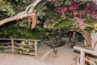 Eliana Resort And Spa