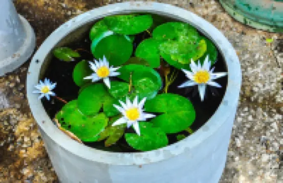 卡斯凱德巖石之家酒店