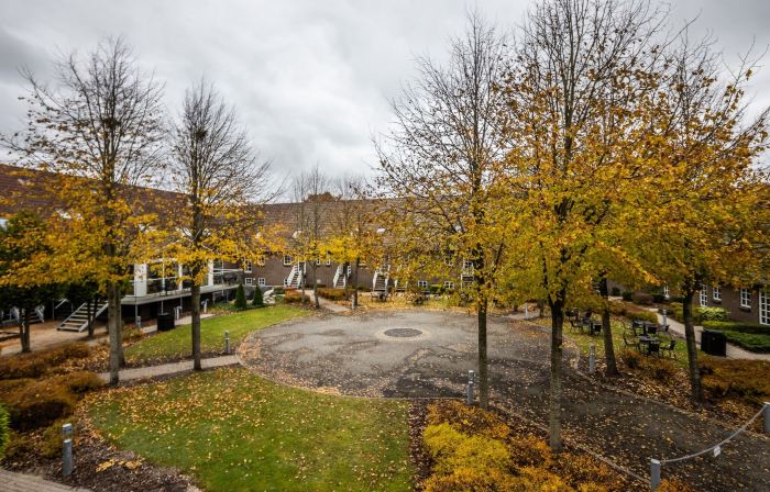 The Lodge Billund