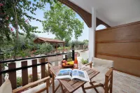 Vergonis Studios Hotels in Milies