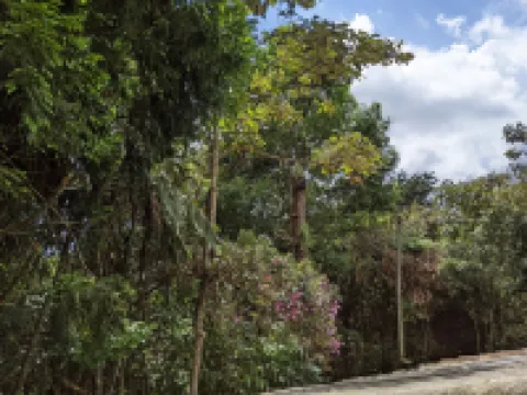 Refugio en El Bosque Hotels in Rionegro