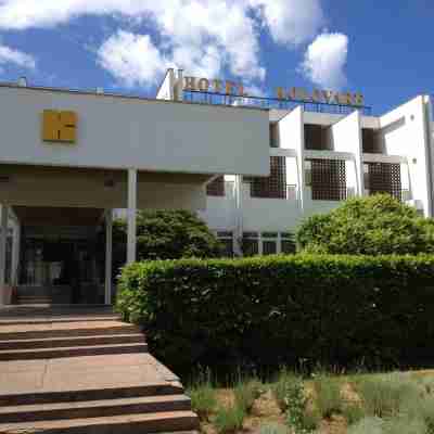 Hotel Kolovare Hotel Exterior