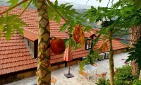 Pinewood Hotel Hotels in Khenchara