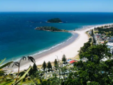 Seagulls Guesthouse Hotels in Mount Maunganui