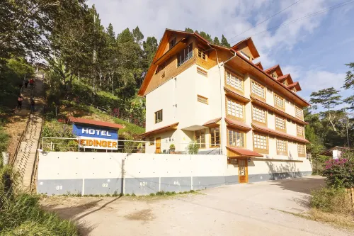 Hotel Heidinger - 3-Star