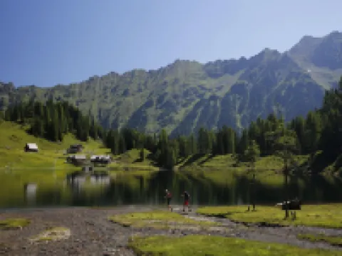 Premium Chalet with Infrared Sauna