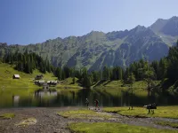 Premium Chalet with Infrared Sauna