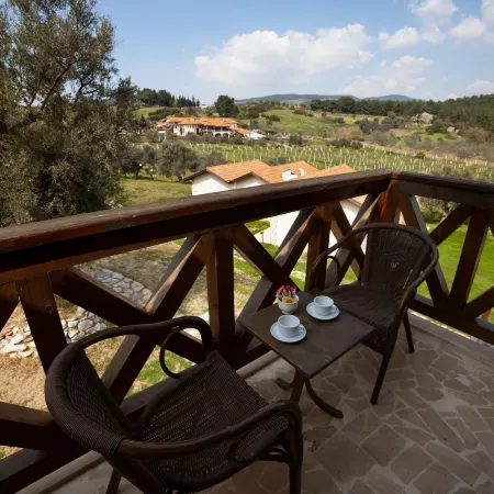 Vinifera Vineyards Hotel